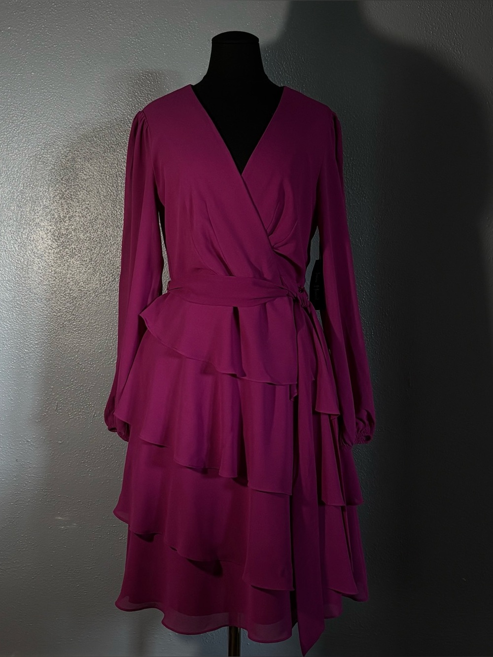 NWT Jessica Howard Deep Pink Long Sleeve Dress Womens Size 6